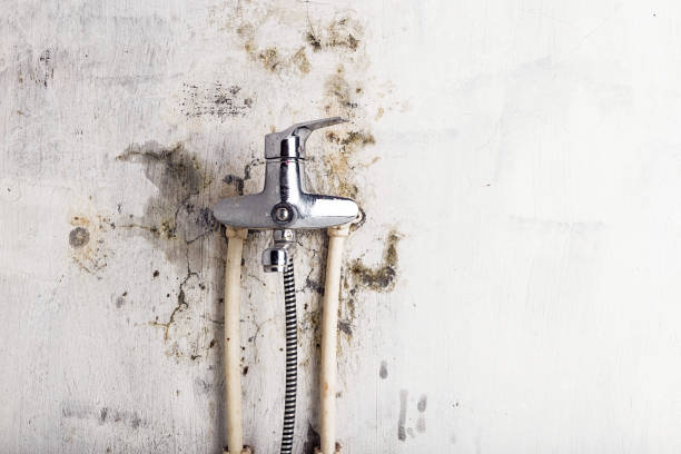 Reliable New Cordell, OK Mold Removal Solutions